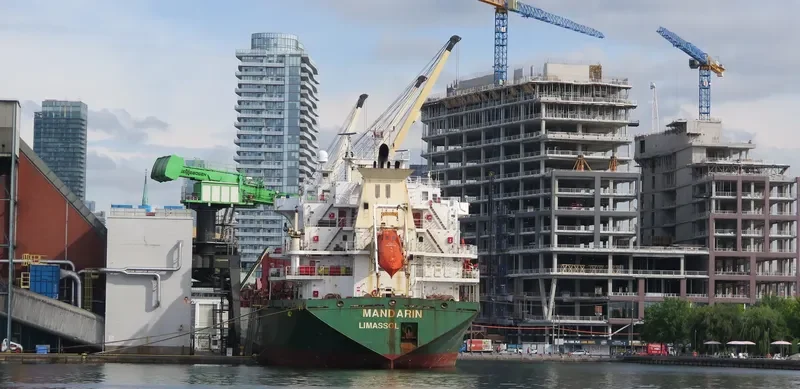 MANDARIN Bulk Carrier IMO 9239812 photo 3