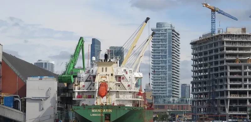 MANDARIN Bulk Carrier IMO 9239812 photo 4
