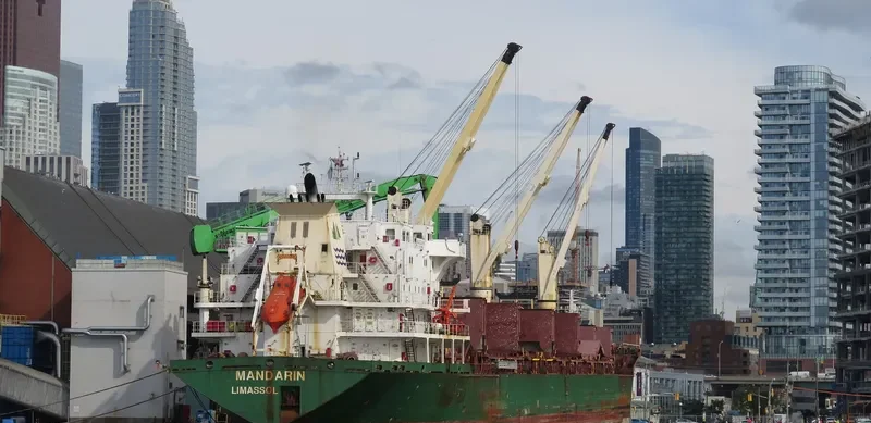 MANDARIN Bulk Carrier IMO 9239812 photo 5