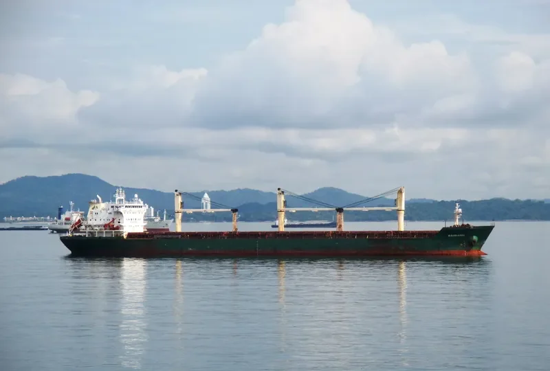 MANDARIN Bulk Carrier IMO 9239812 photo 6