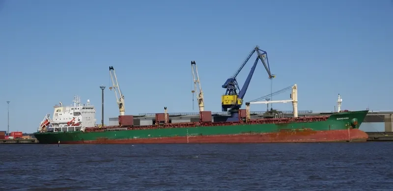 MANDARIN Bulk Carrier IMO 9239812 photo 7