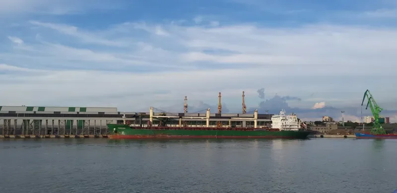 MANDARIN Bulk Carrier IMO 9239812 photo 8