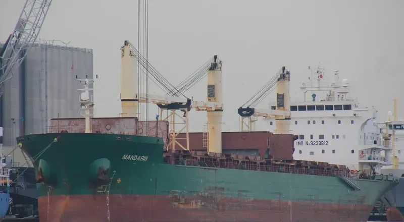 MANDARIN Bulk Carrier IMO 9239812 photo 9