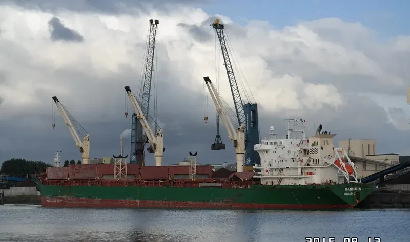 MANDARIN Bulk Carrier IMO 9239812 photo 10
