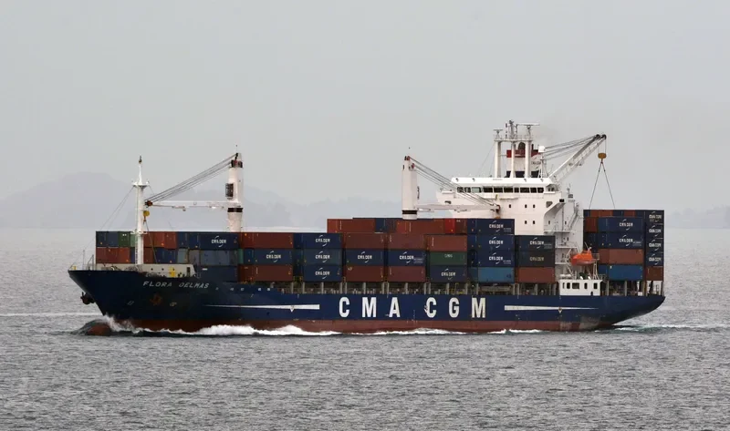 FLORA DELMAS Container Ship IMO 9239862 photo 2