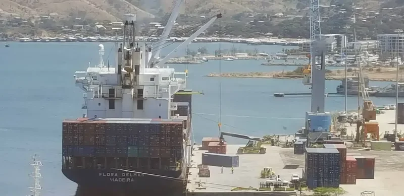 FLORA DELMAS Container Ship IMO 9239862 photo 3