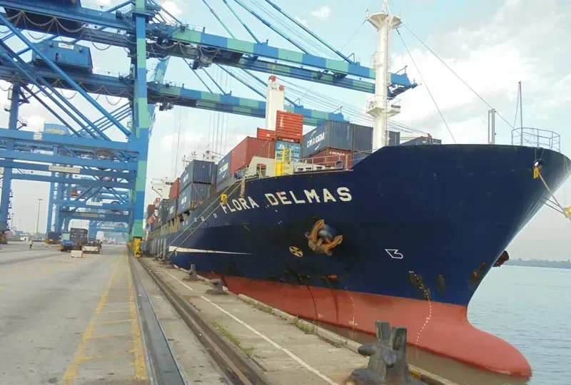 FLORA DELMAS Container Ship IMO 9239862 photo 4
