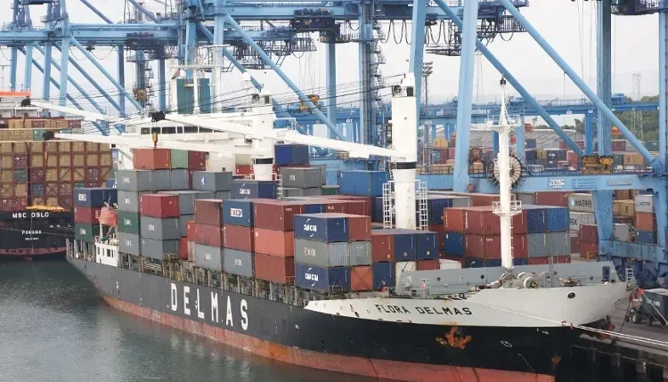 FLORA DELMAS Container Ship IMO 9239862 photo 8