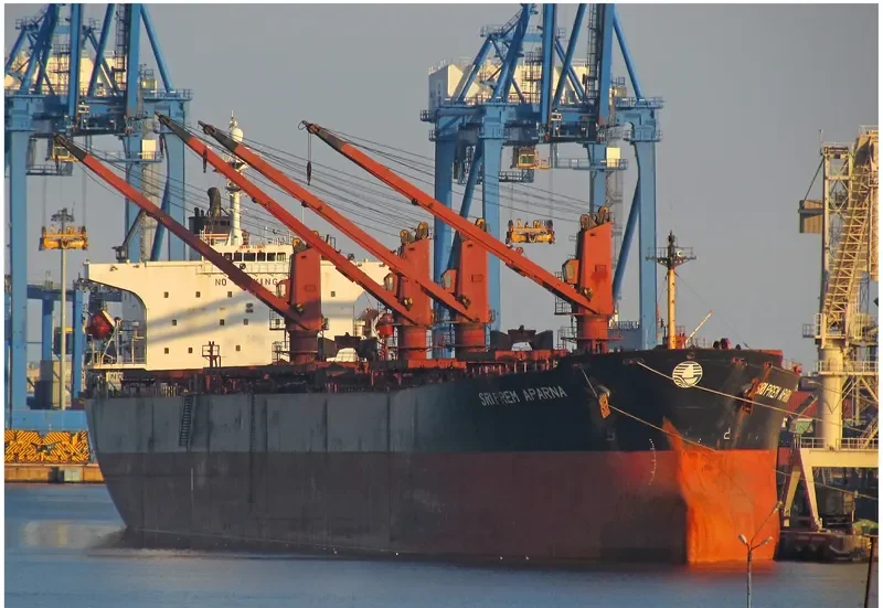 ALIYAH PERTIWI Bulk Carrier IMO 9239991