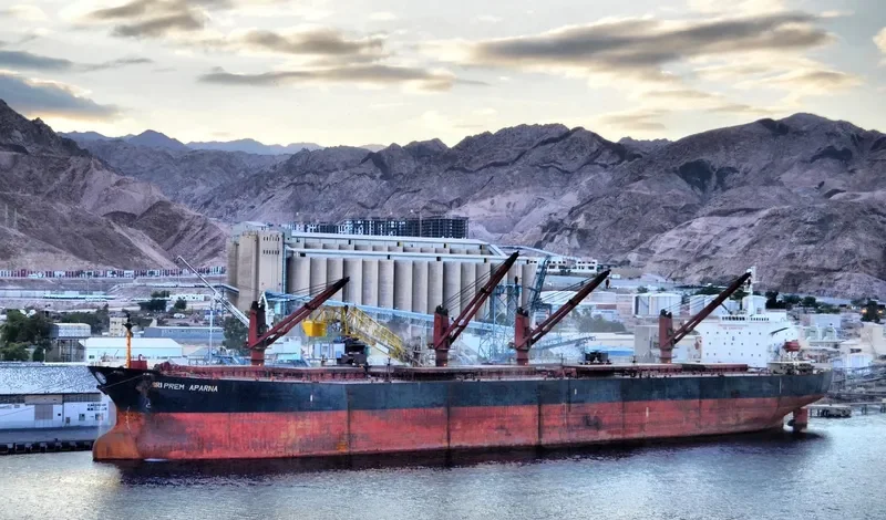 ALIYAH PERTIWI Bulk Carrier IMO 9239991 photo 2