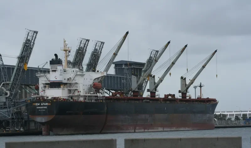 ALIYAH PERTIWI Bulk Carrier IMO 9239991 photo 3