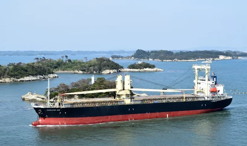 TAN BINH 127 General Cargo IMO 9240043 photo 6