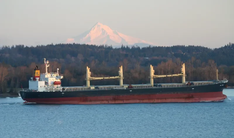 JIN PING Bulk Carrier IMO 9240079 photo 6