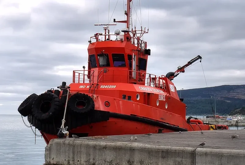 CHARUCA SILVEIRA General Cargo IMO 9240299 photo 6
