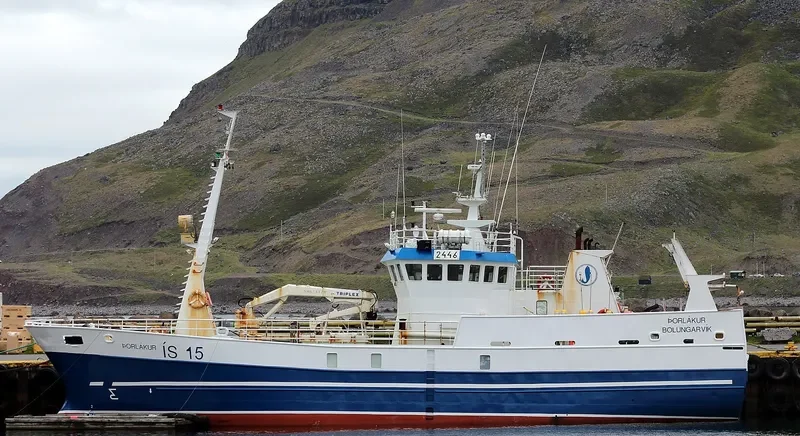 THORLAKUR General Cargo IMO 9240366 photo 3