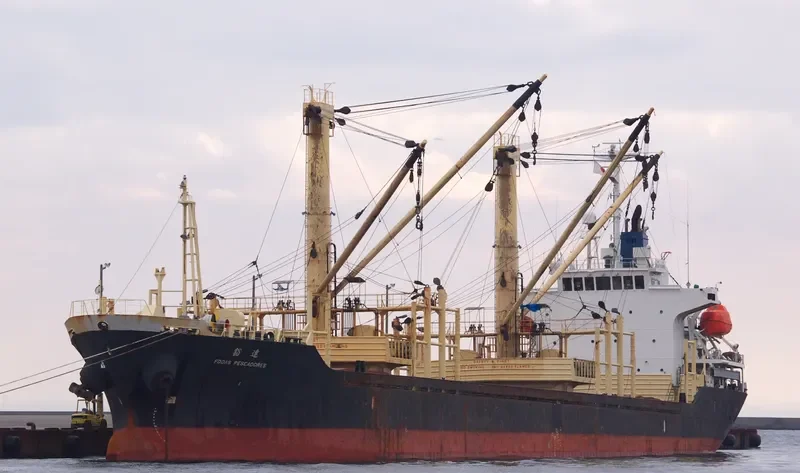 FODAS PESCADORES General Cargo IMO 9240524
