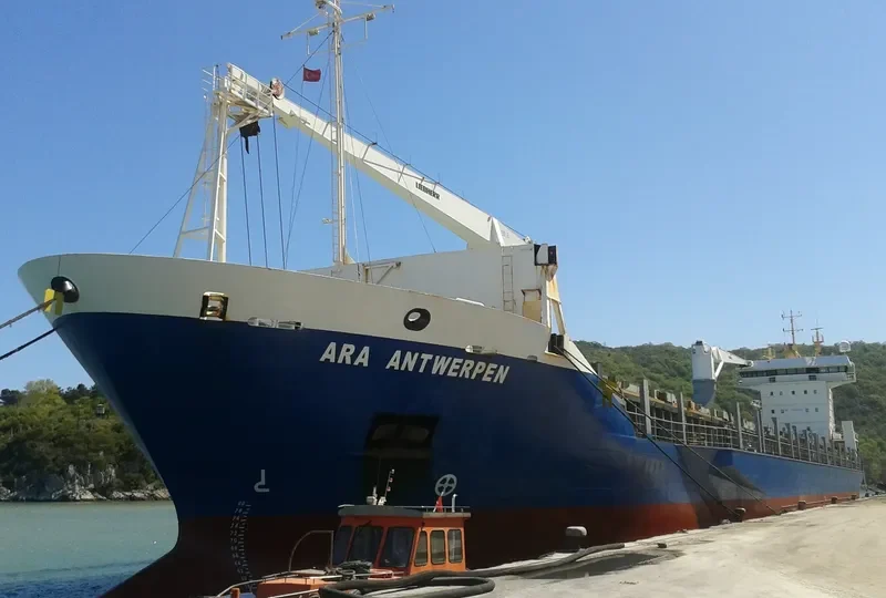 SMP ARKHANGELSK General Cargo IMO 9240550 photo 9