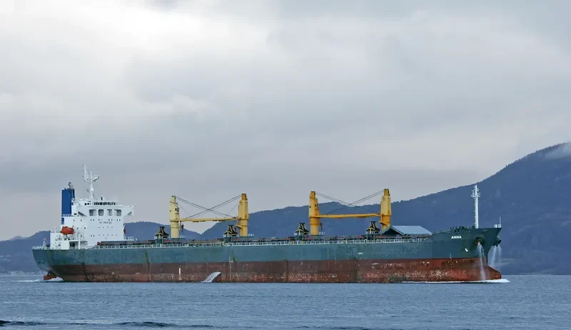 ZHONG SU 19 Bulk Carrier IMO 9240809 photo 2