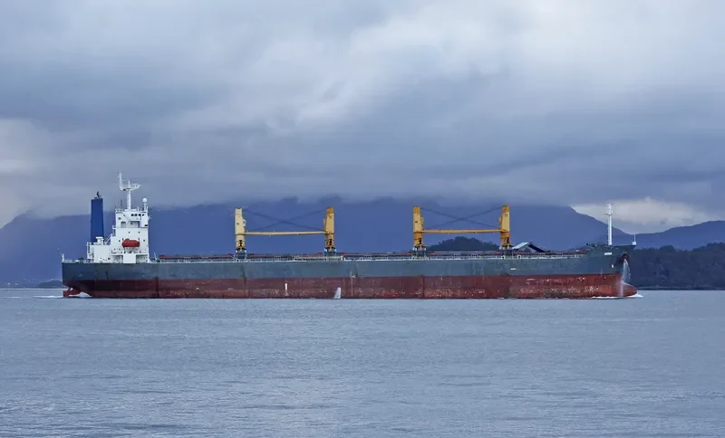 ZHONG SU 19 Bulk Carrier IMO 9240809 photo 3