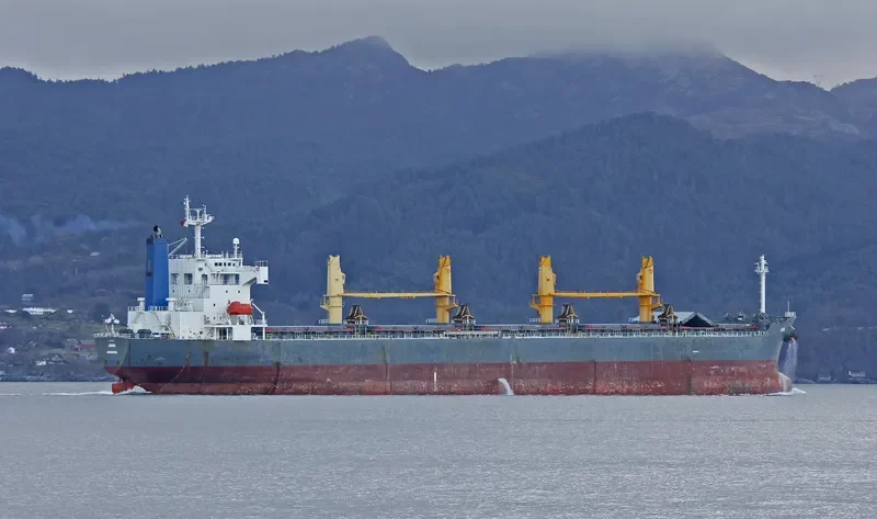 ZHONG SU 19 Bulk Carrier IMO 9240809 photo 4