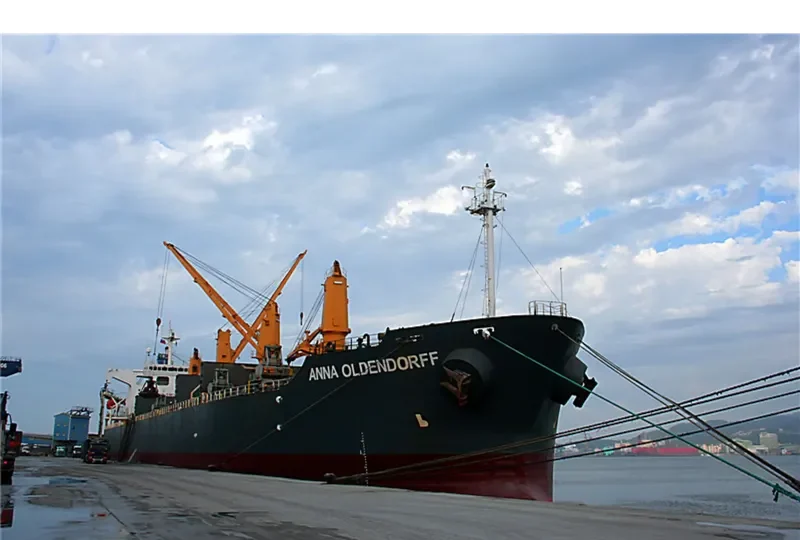 ZHONG SU 19 Bulk Carrier IMO 9240809 photo 5
