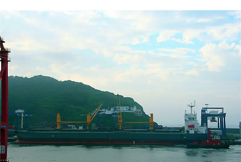 ZHONG SU 19 Bulk Carrier IMO 9240809 photo 6