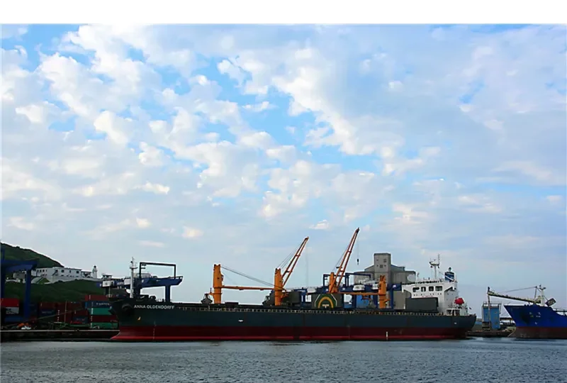 ZHONG SU 19 Bulk Carrier IMO 9240809 photo 7