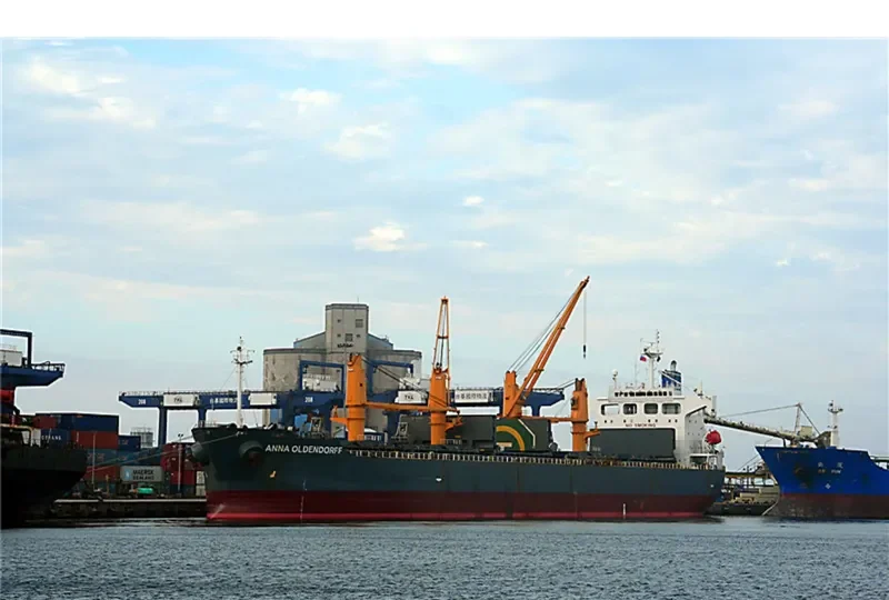 ZHONG SU 19 Bulk Carrier IMO 9240809 photo 8