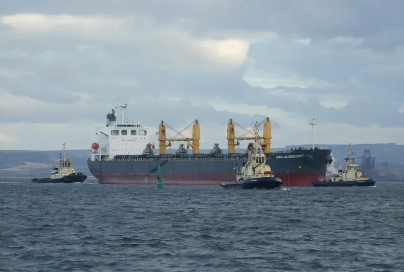 ZHONG SU 19 Bulk Carrier IMO 9240809 photo 10