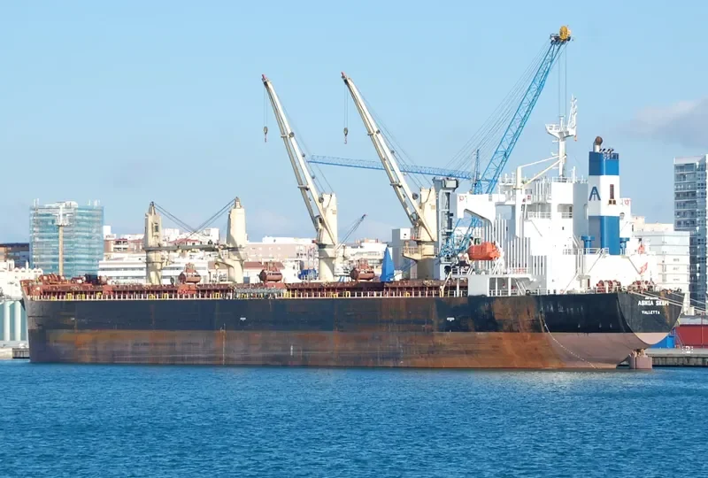 CHANG MIN Bulk Carrier IMO 9240811 photo 3
