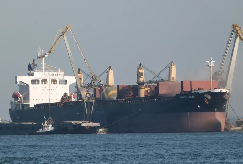 CHANG MIN Bulk Carrier IMO 9240811 photo 9