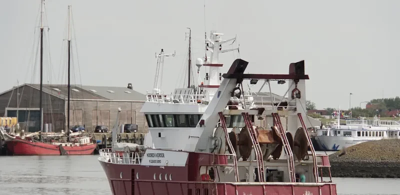 SL 45 STELLAR General Cargo IMO 9241229 photo 8