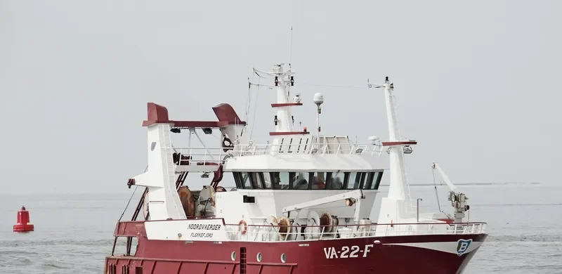 SL 45 STELLAR General Cargo IMO 9241229 photo 10