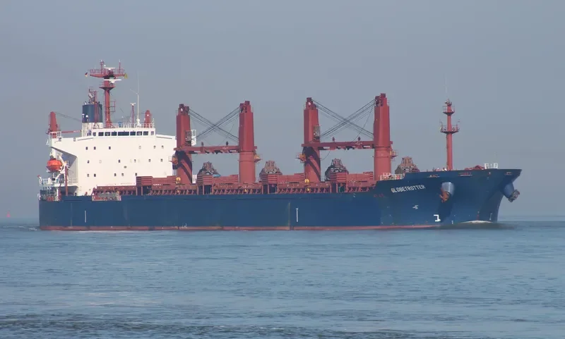 TIAN LI Bulk Carrier IMO 9241255 photo 2