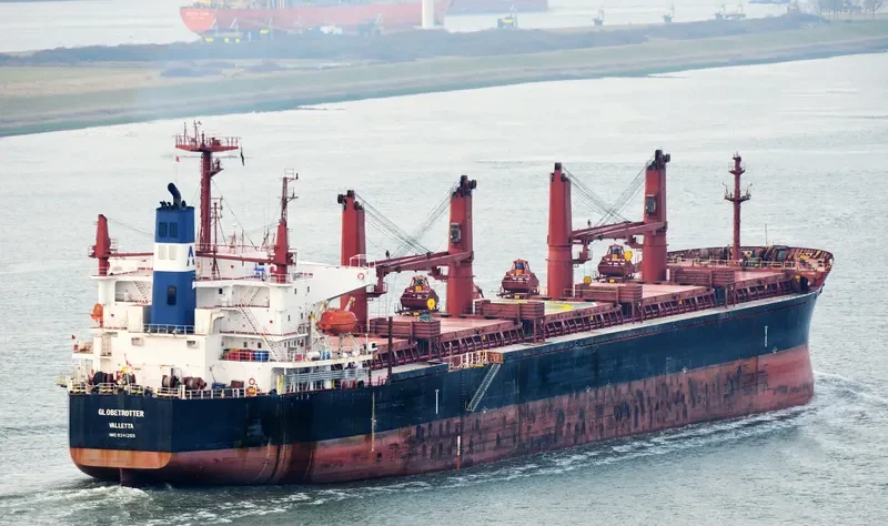 TIAN LI Bulk Carrier IMO 9241255 photo 3