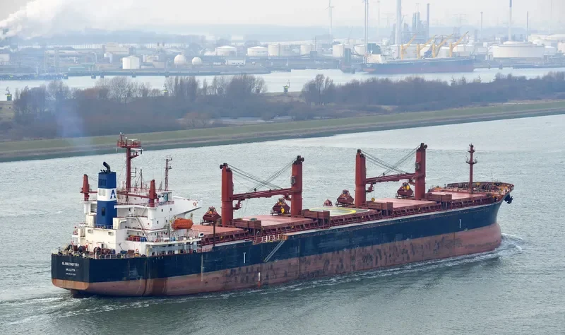 TIAN LI Bulk Carrier IMO 9241255 photo 7