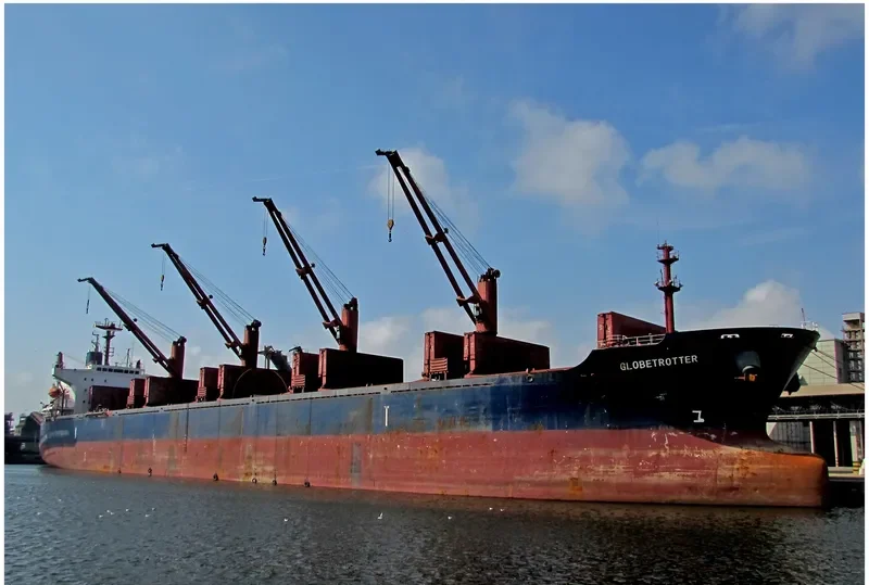 TIAN LI Bulk Carrier IMO 9241255 photo 8