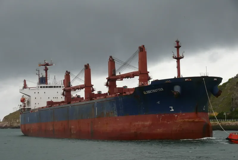 TIAN LI Bulk Carrier IMO 9241255 photo 9