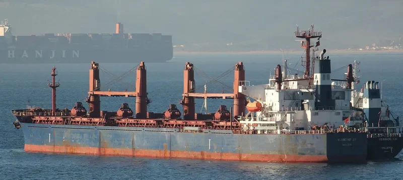 TIAN LI Bulk Carrier IMO 9241255 photo 10