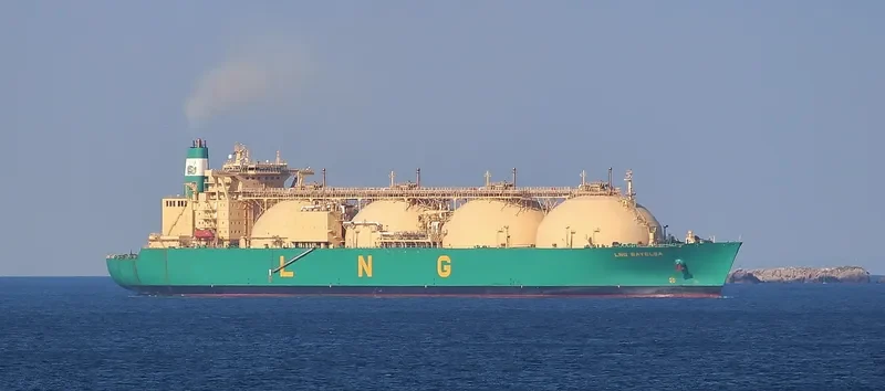 LNG BAYELSA General Cargo IMO 9241267 photo 6