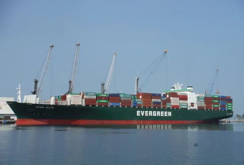EVER ELITE Container Ship IMO 9241281 photo 3