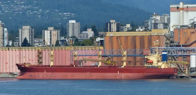 LARUS Bulk Carrier IMO 9241346
