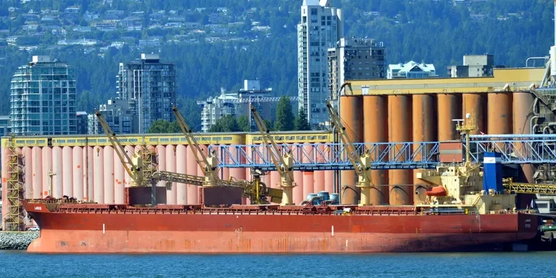 LARUS Bulk Carrier IMO 9241346 photo 2