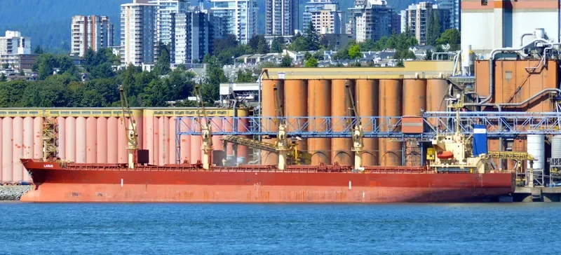 LARUS Bulk Carrier IMO 9241346 photo 3