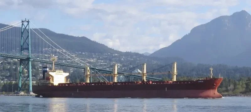 LARUS Bulk Carrier IMO 9241346 photo 4