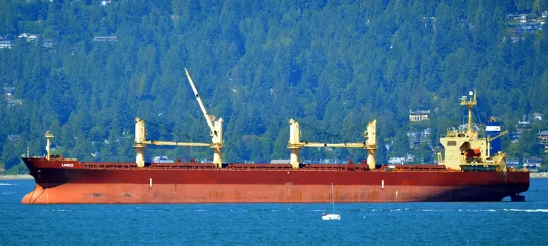 LARUS Bulk Carrier IMO 9241346 photo 5