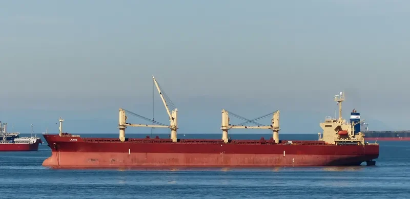LARUS Bulk Carrier IMO 9241346 photo 6