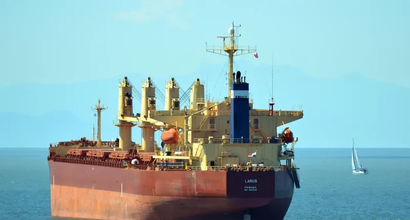 LARUS Bulk Carrier IMO 9241346 photo 7
