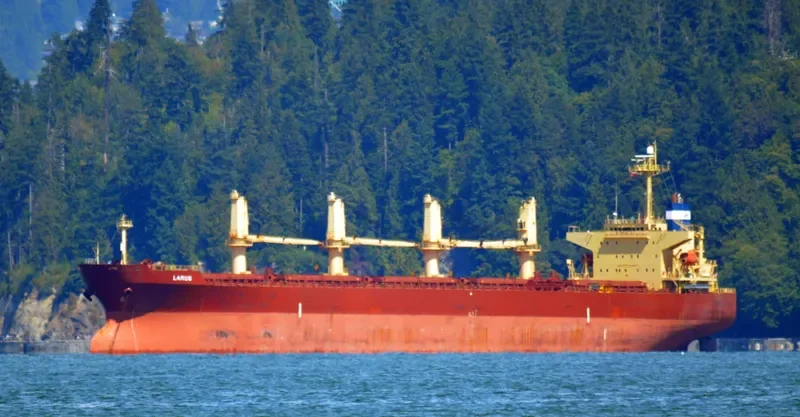 LARUS Bulk Carrier IMO 9241346 photo 8