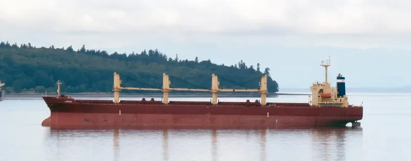 LARUS Bulk Carrier IMO 9241346 photo 9
